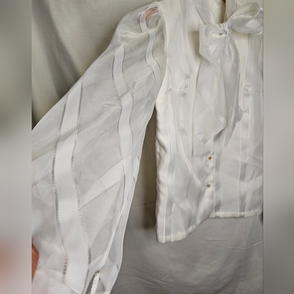 Vintage Organza puff sleeve top